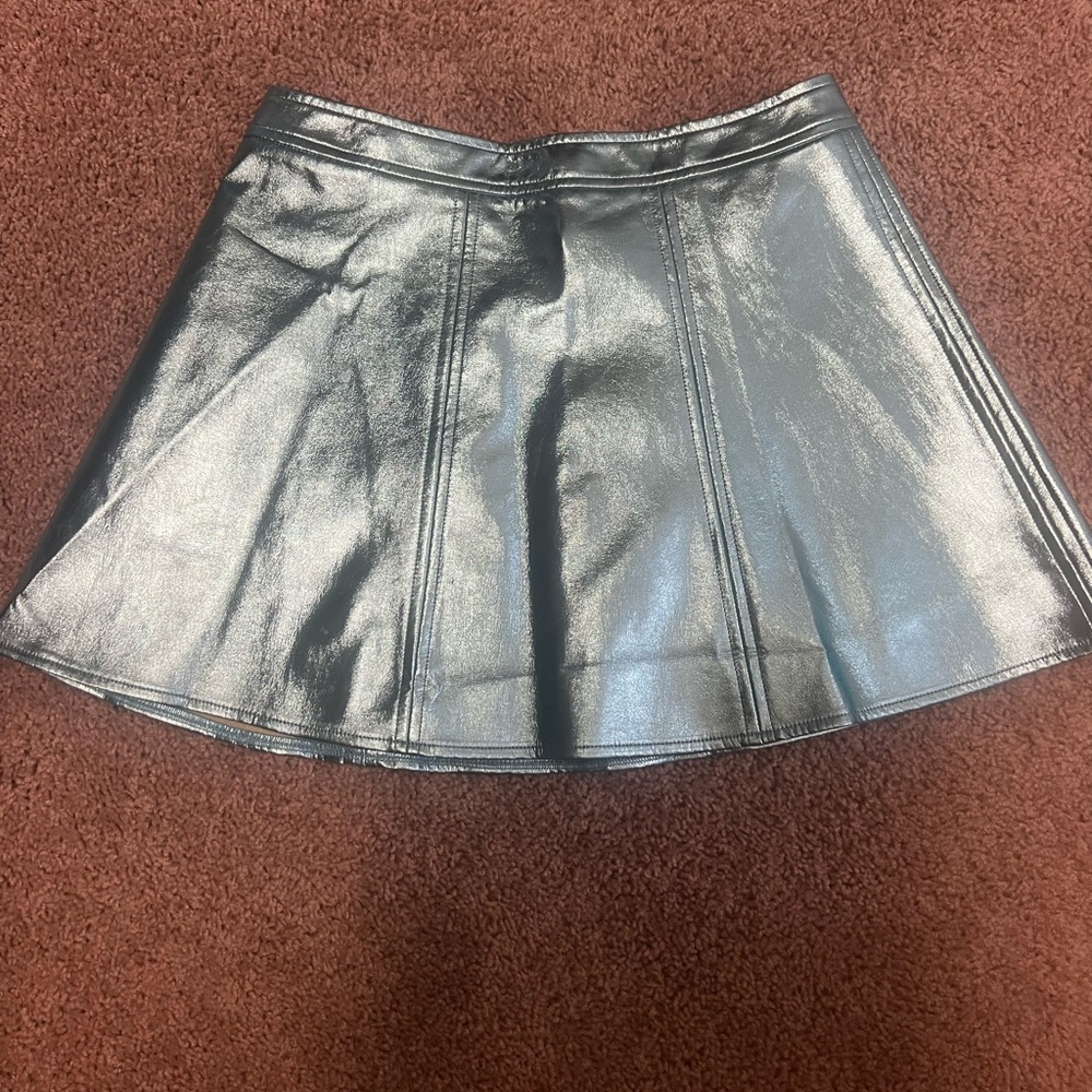TCEC metallic skirt. Never worn! Super fun!